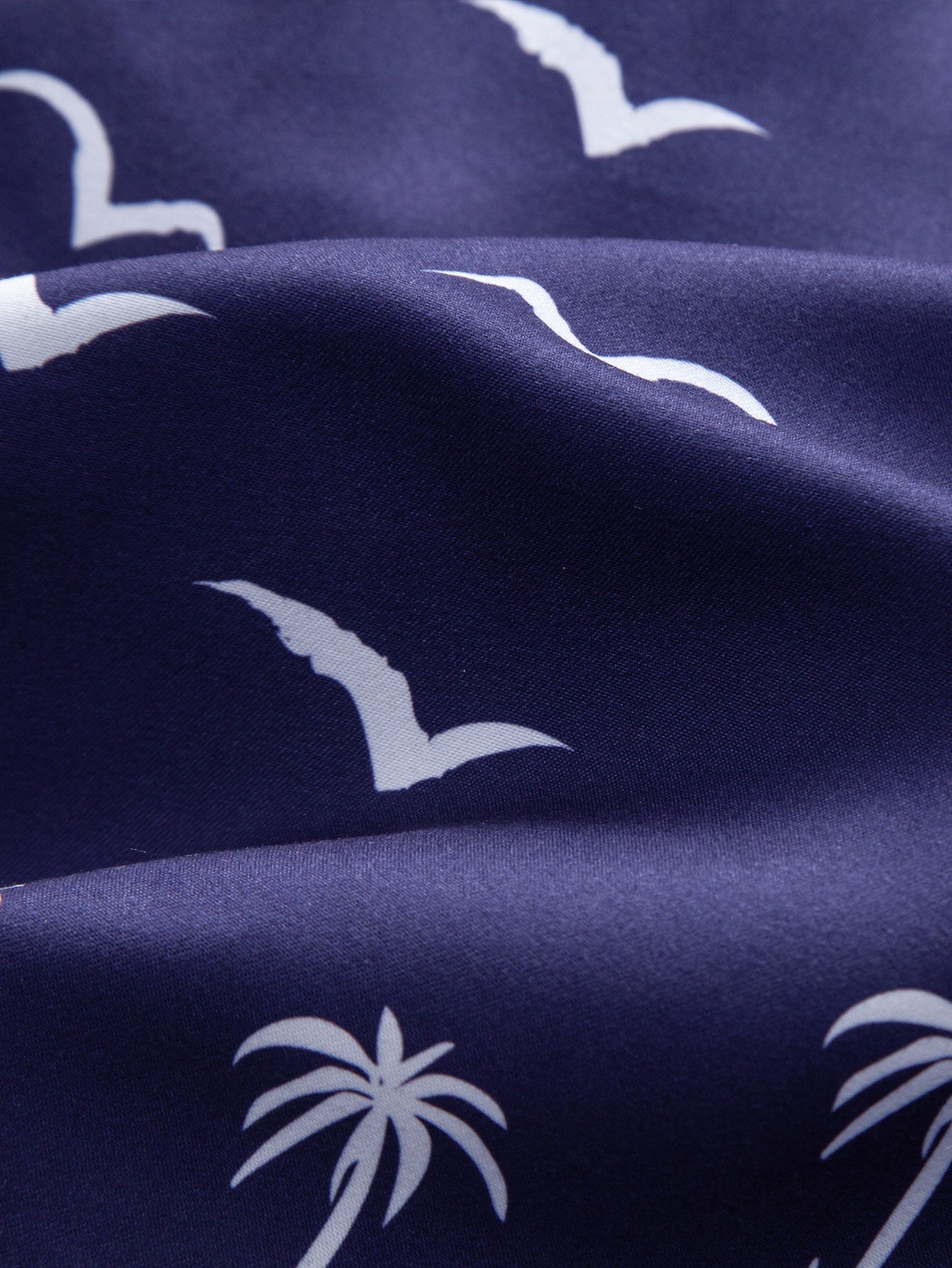 Regular Fit Seagull Print Cotton T-Shirt & Palm Tree Seagull Print Swim Shorts