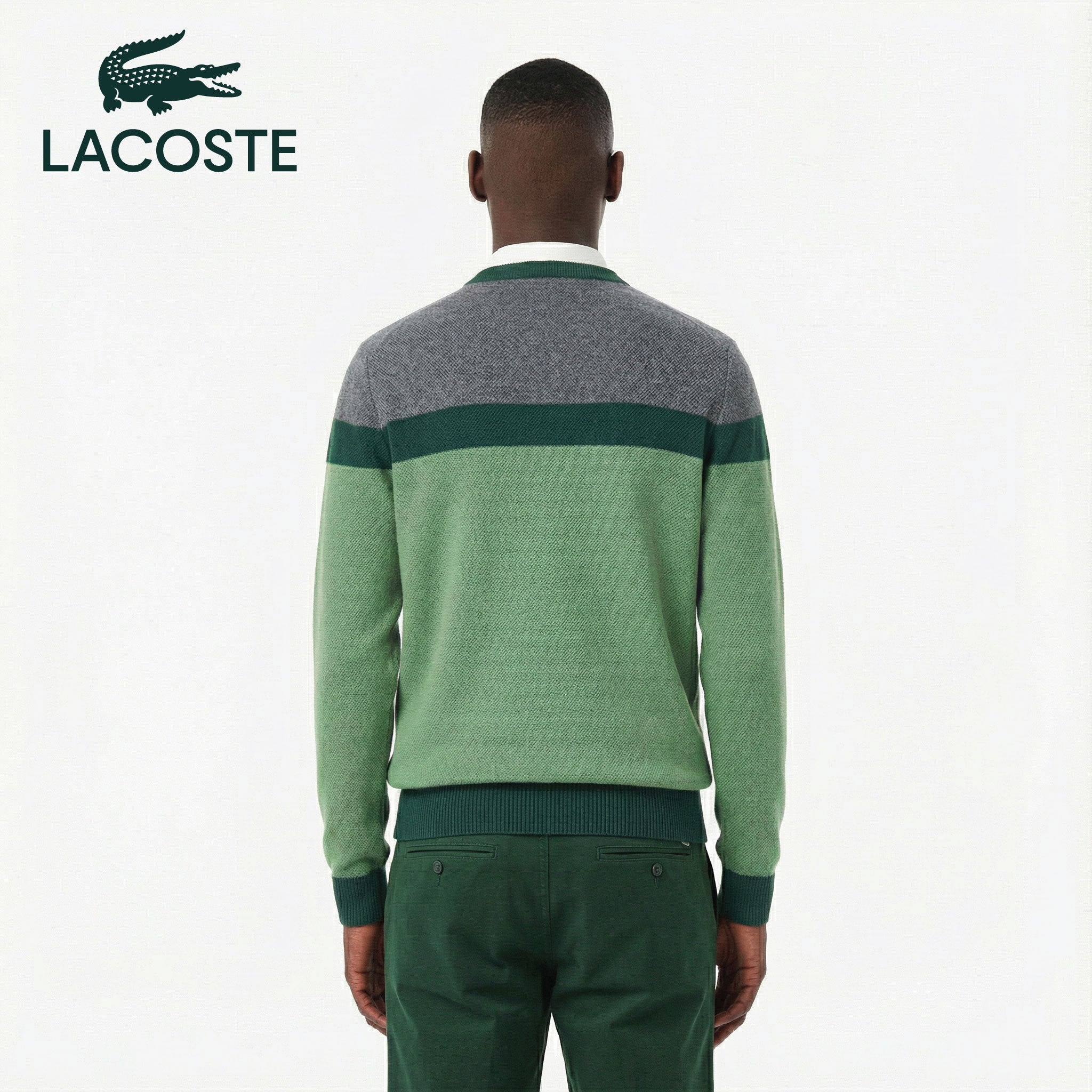 Lacoste - Pull Coton - Nouvelle Collection